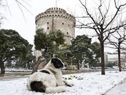 Αναλυτικά Ο Καιρός Για Σήμερα Τρίτη 17/02/15